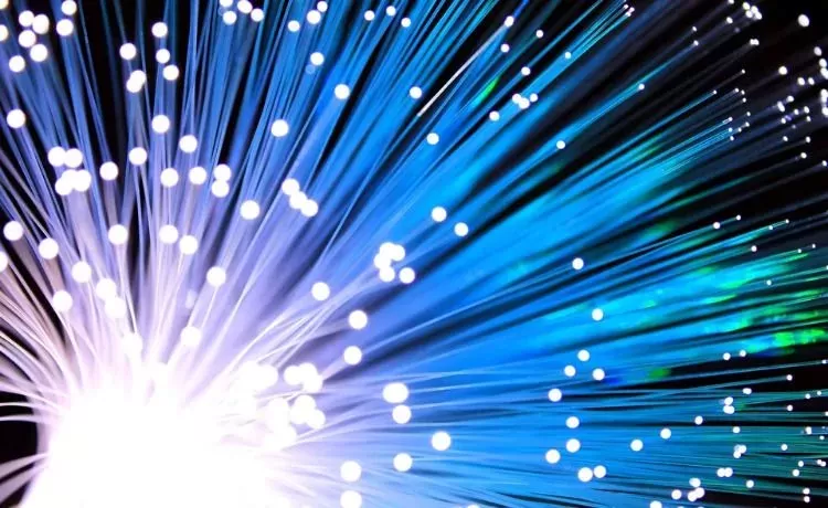 Fiber ve Network Hizmetleri